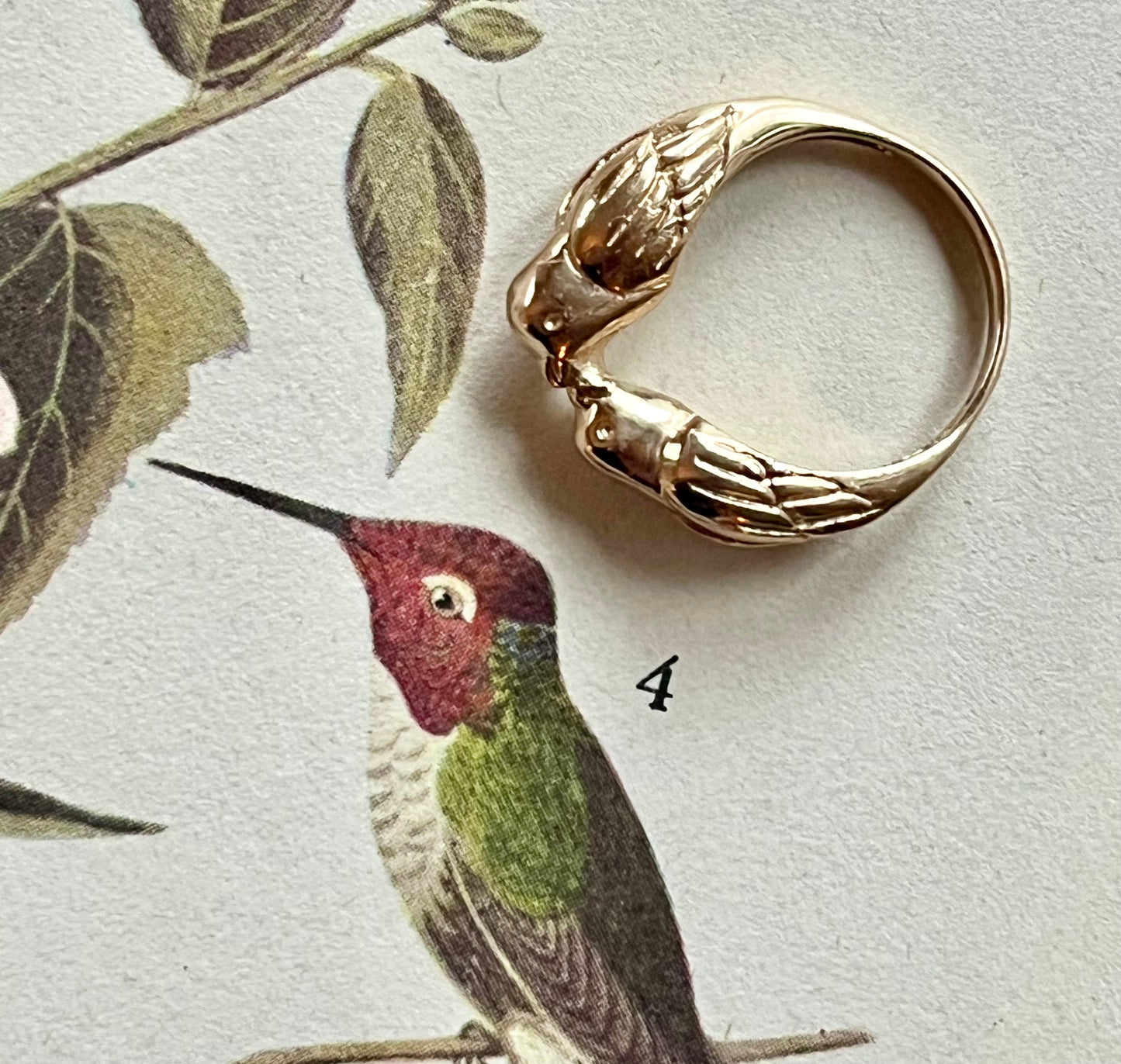 Loving birds ring