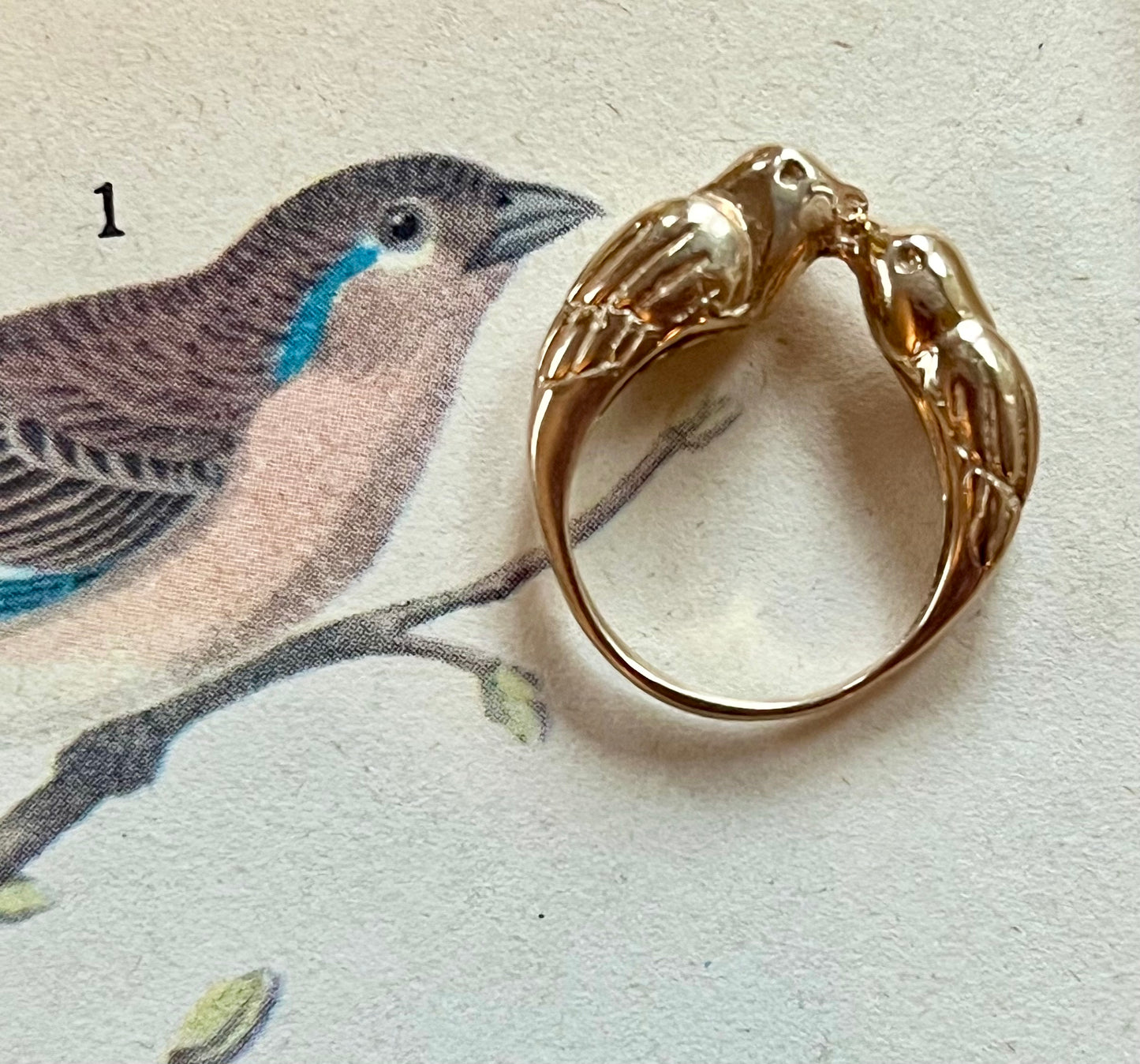 Loving birds ring