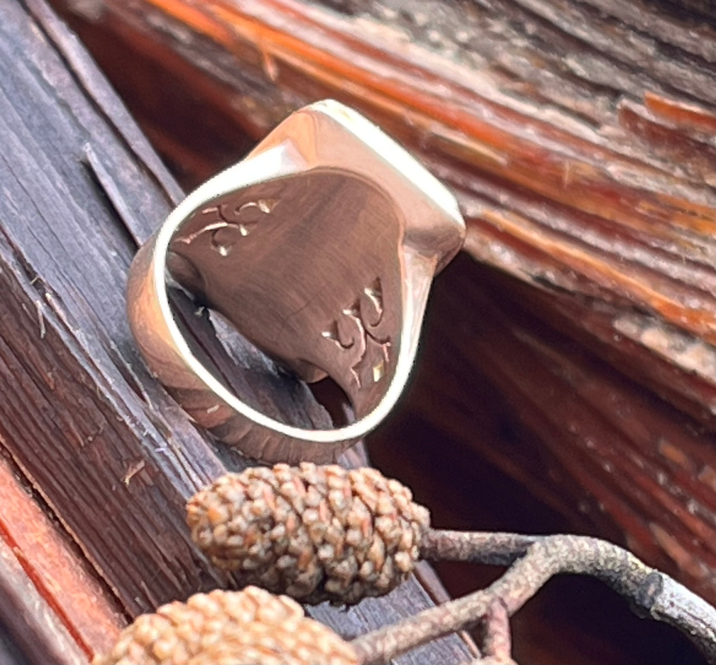 Onyx and OMC ring