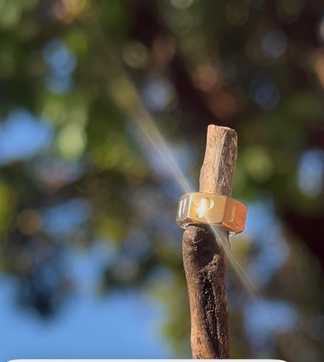 "Look Up" 14k mini nut