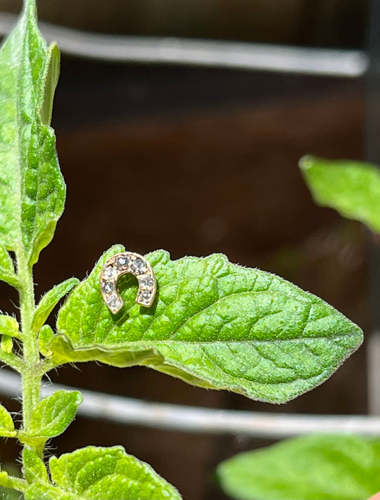 horseshoe OMC diamond stud earring