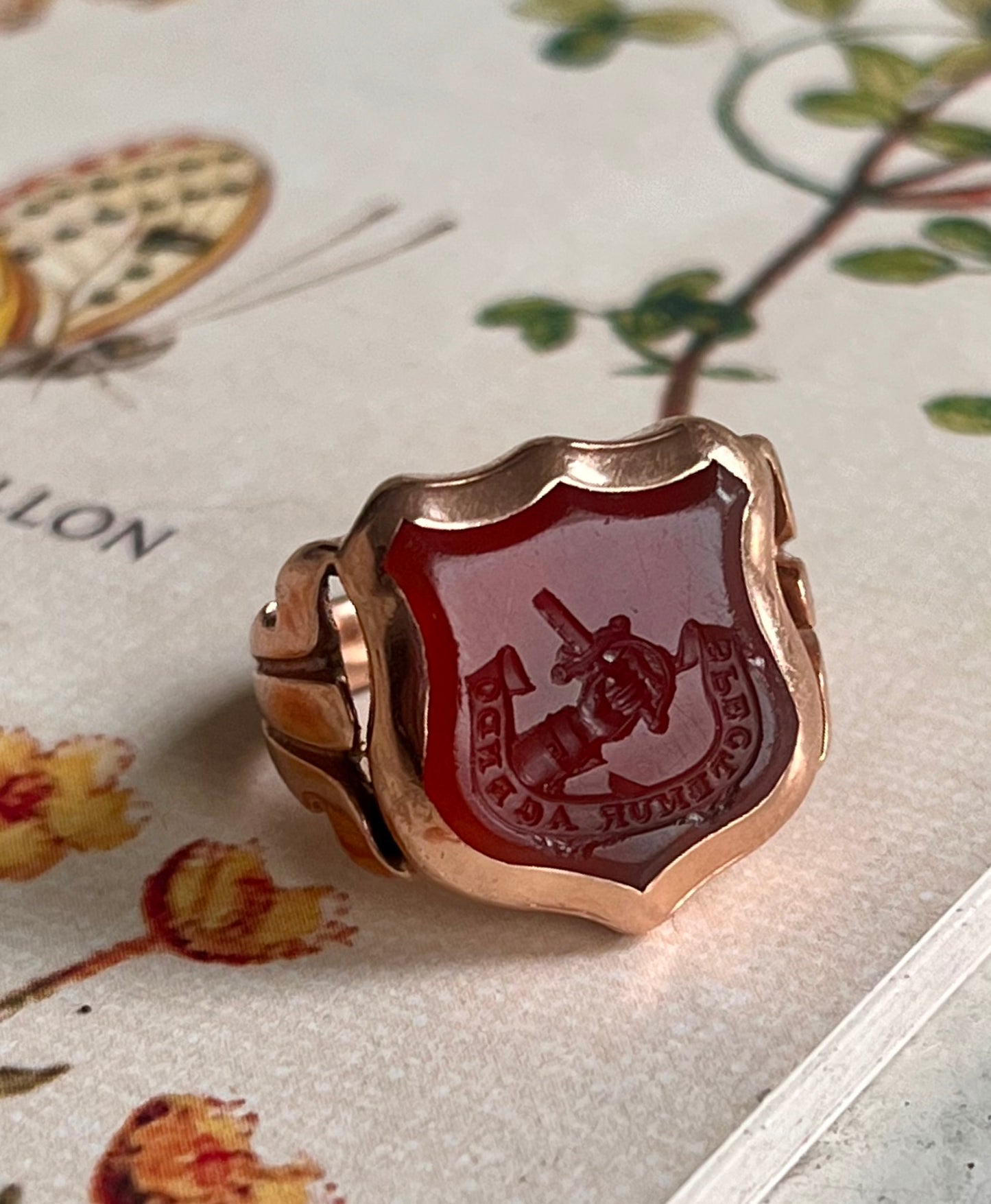 Carnelian antique signet