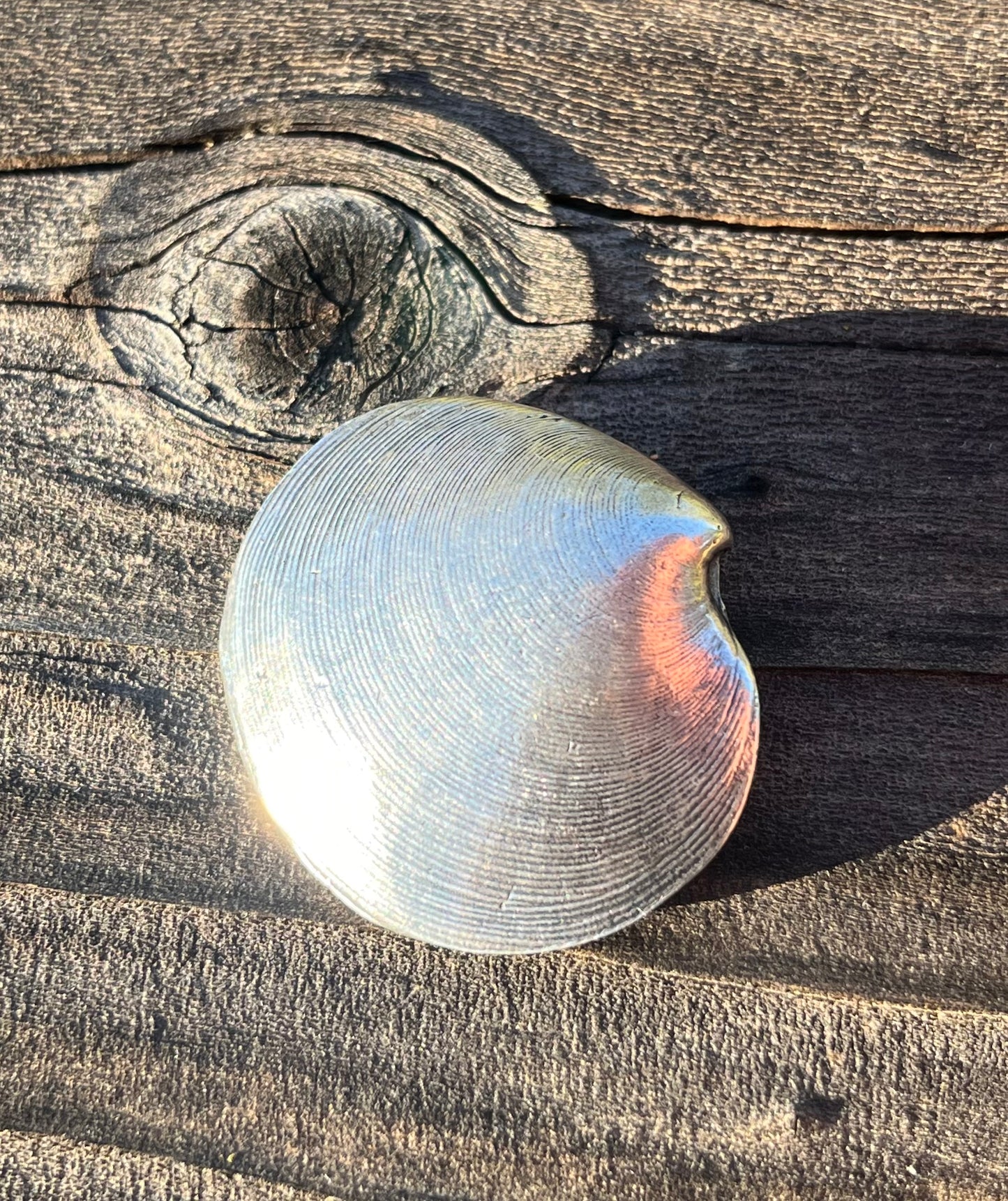 Mignon Faget vintage silver clam pendant