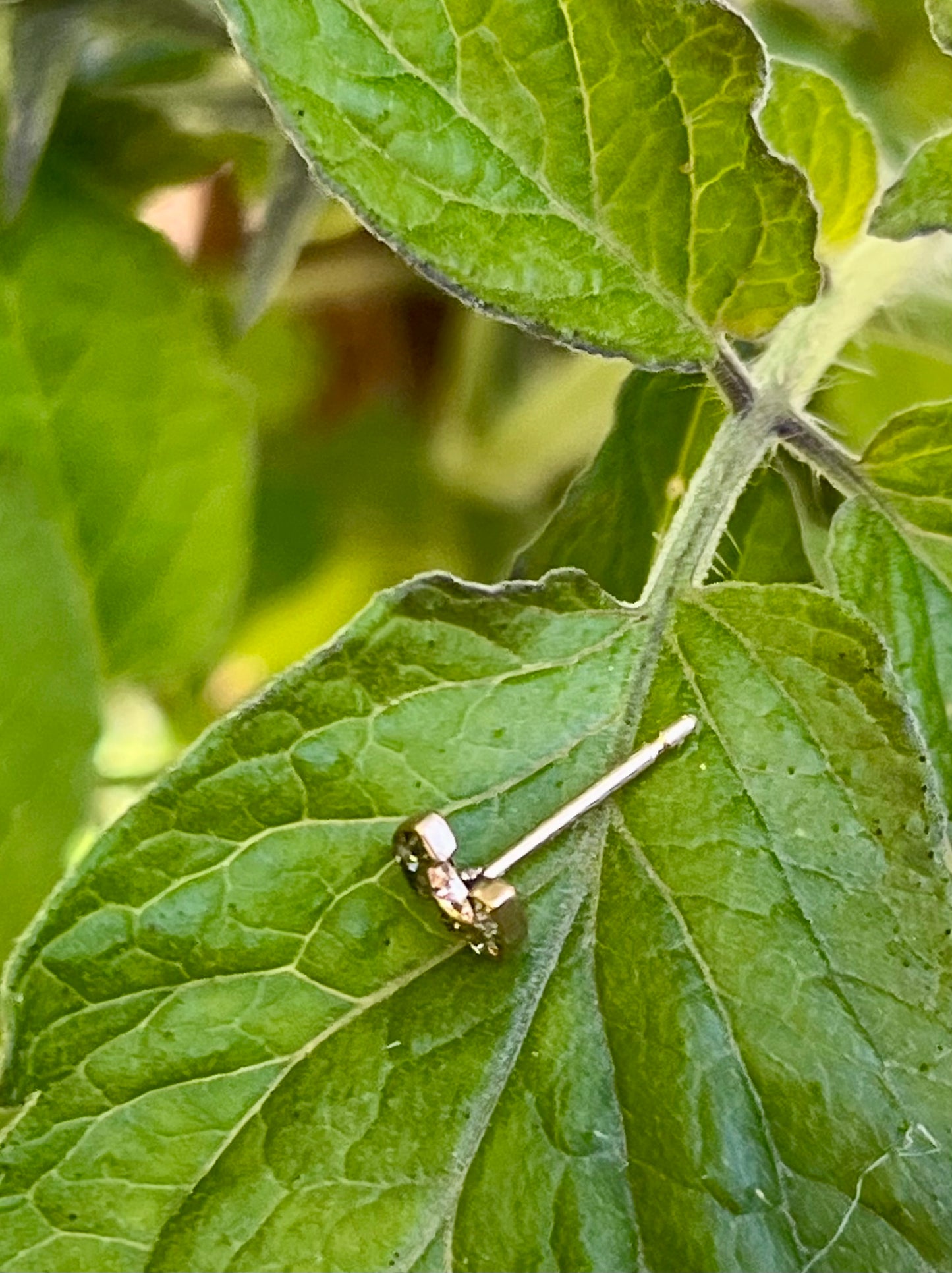 horseshoe OMC diamond stud earring