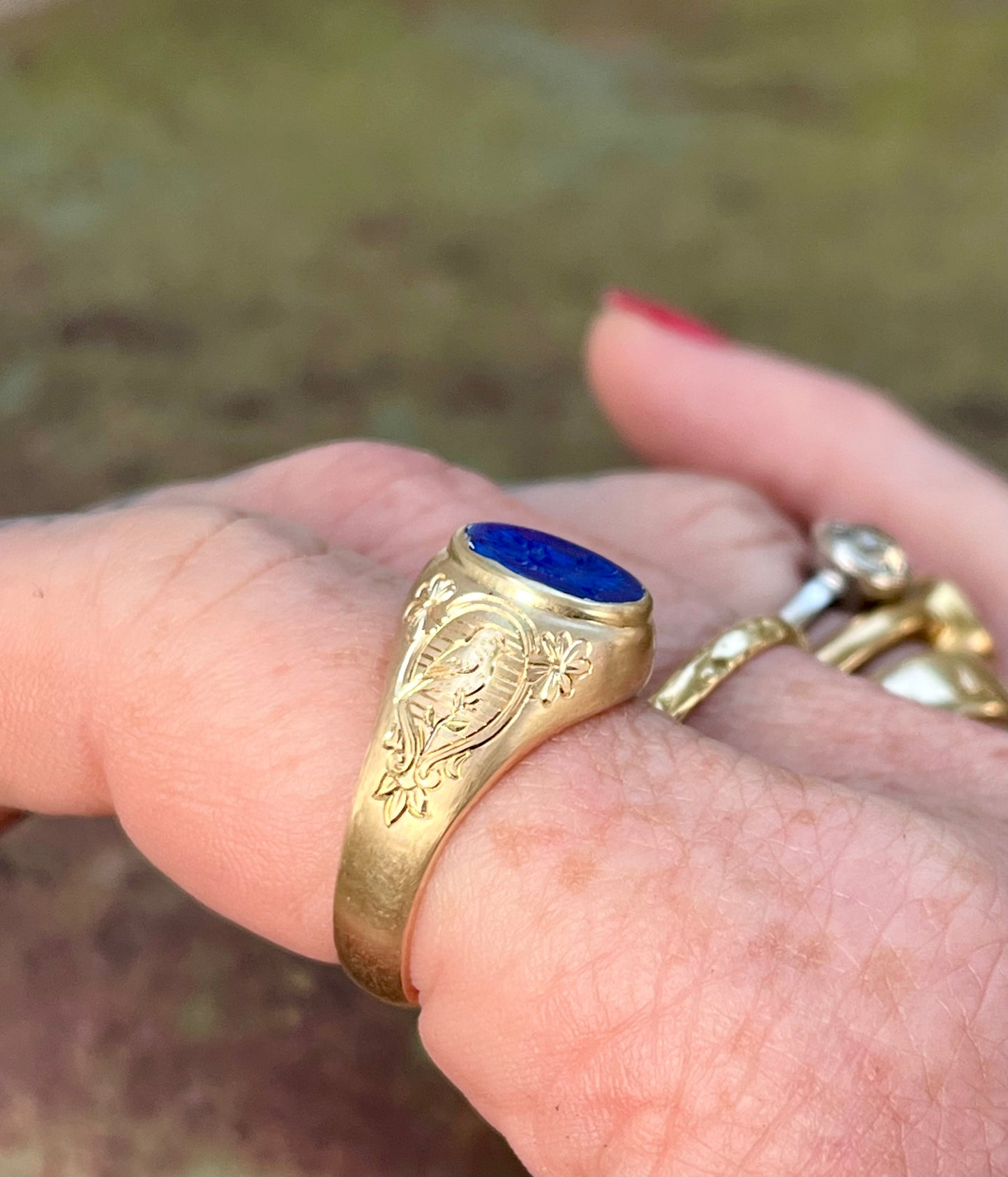 bluebird and nest ring