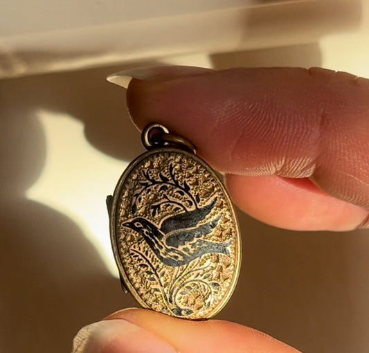 Sweet Flying bird enamel and silver locket