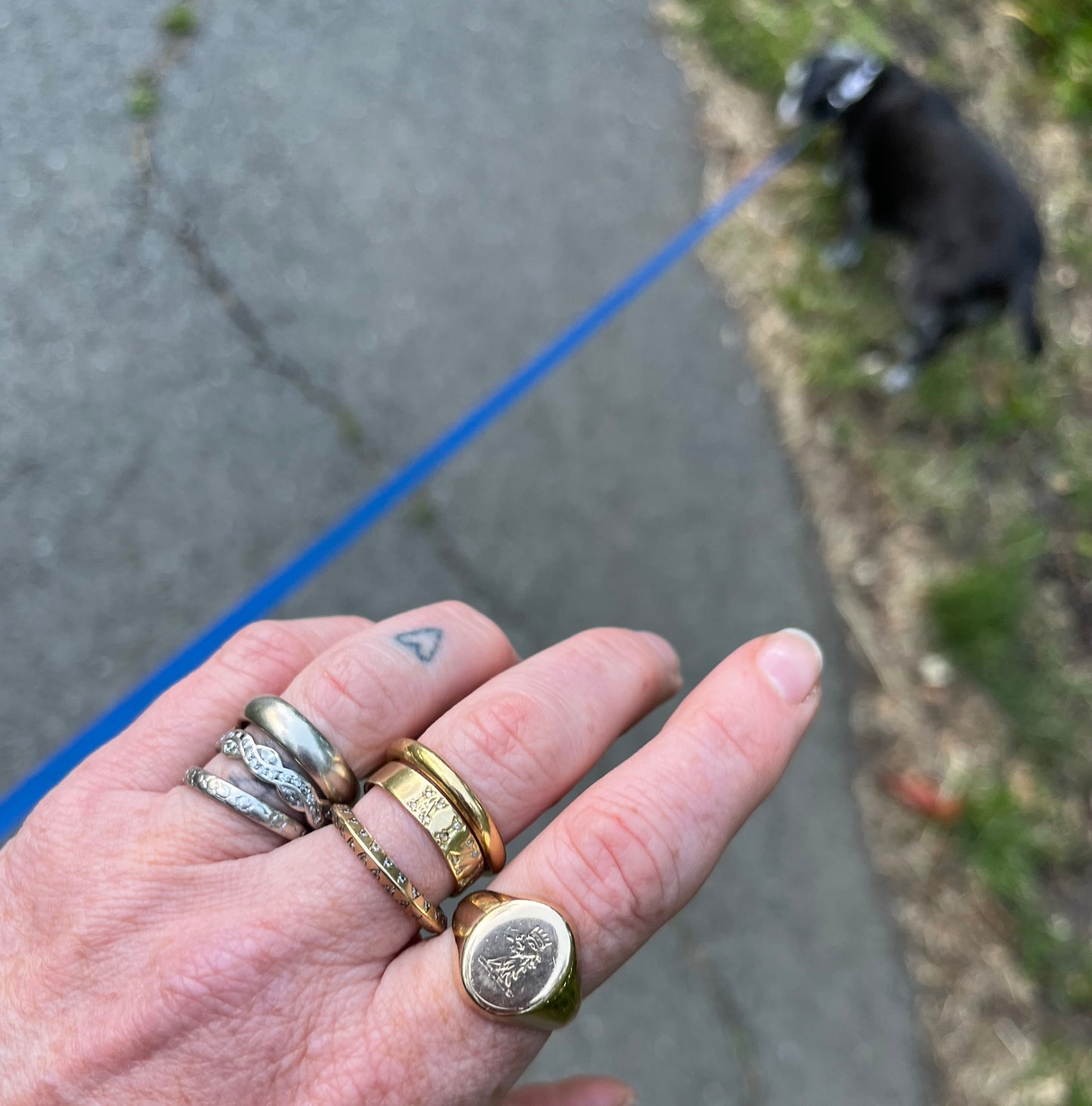 crown-wearing lion signet ring