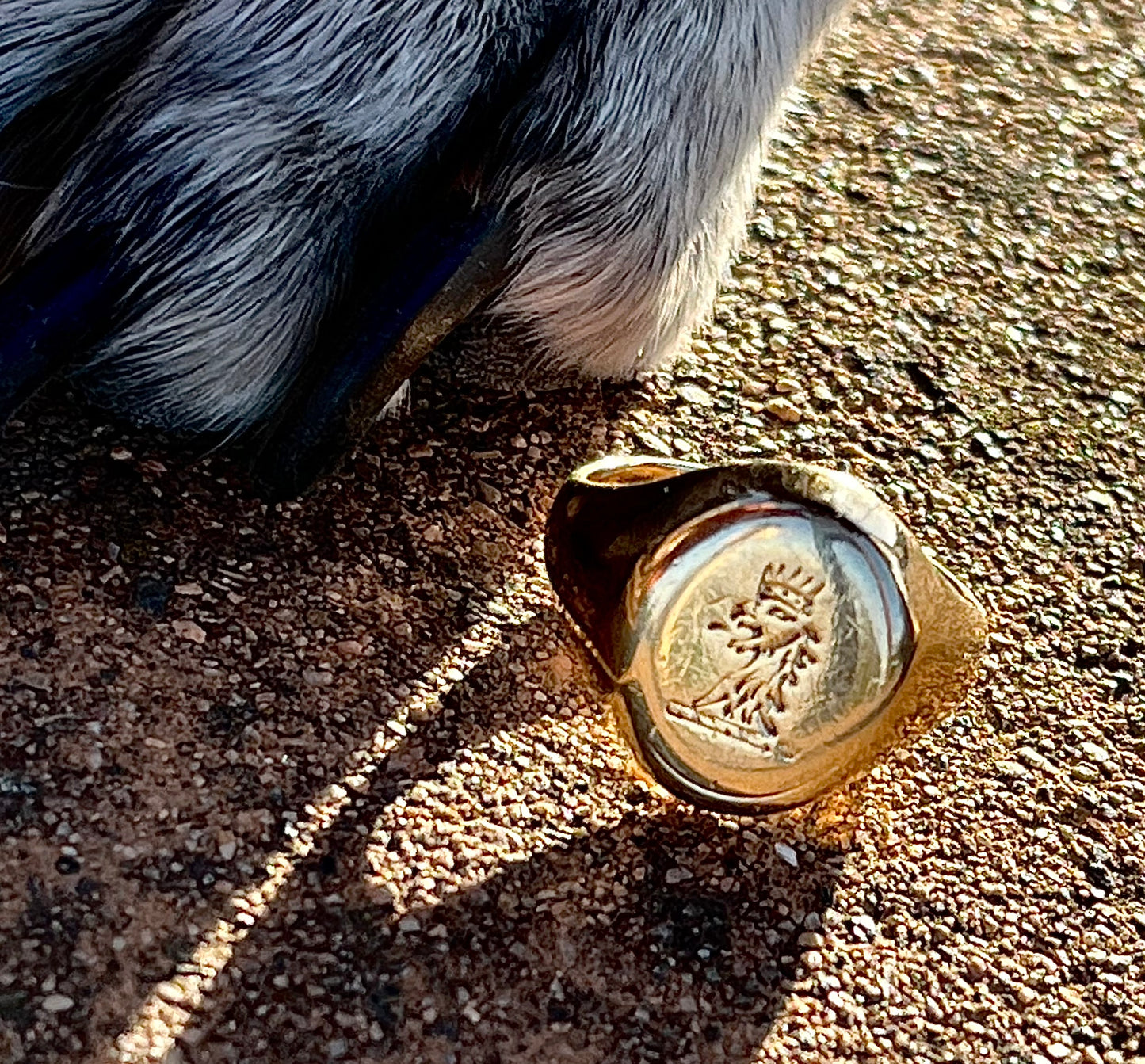 crown-wearing lion signet ring