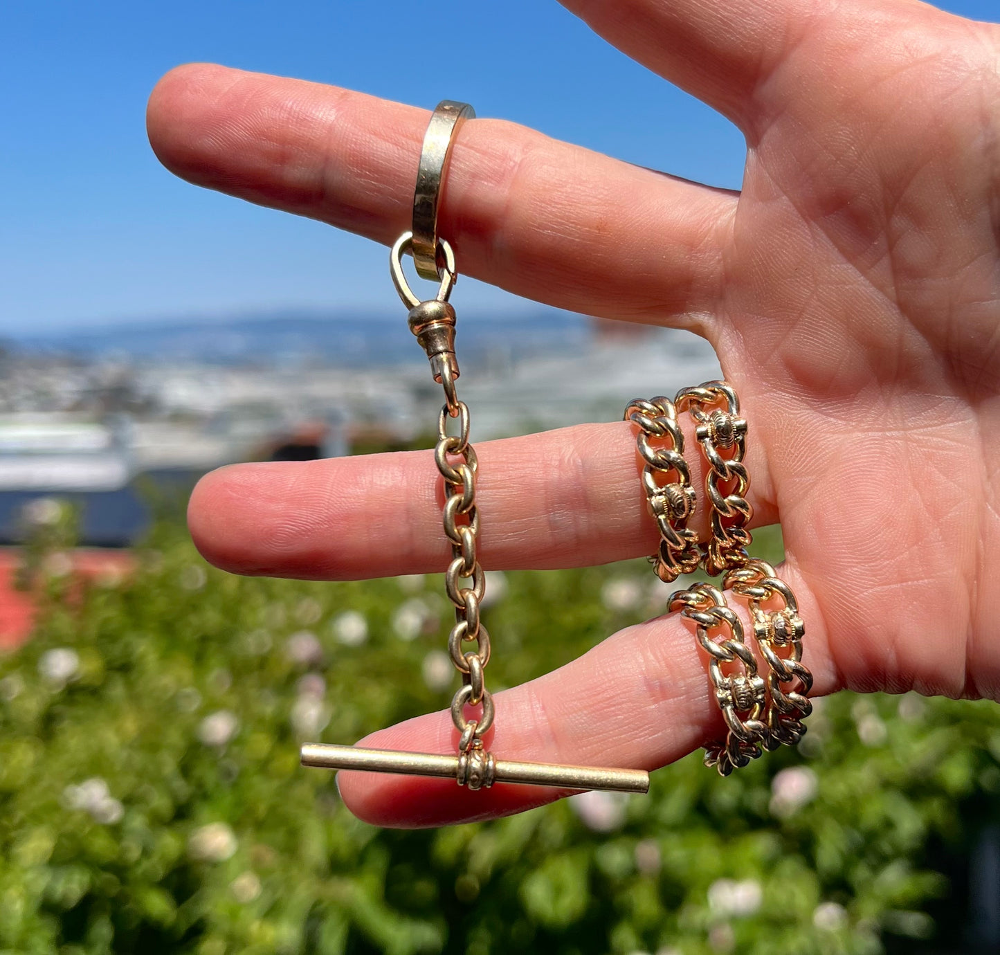 Antique Chain ring, T bar and dog clip